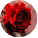 Roses note
