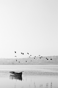 Black and white photo of a fishing boat with birds overhead