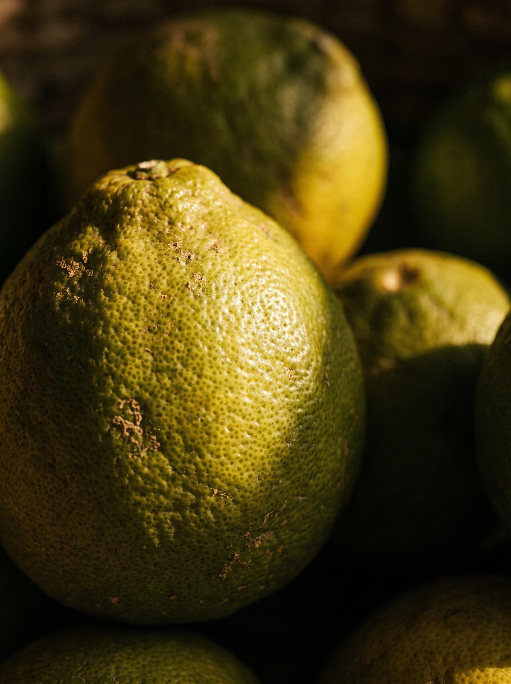 Bergamot note