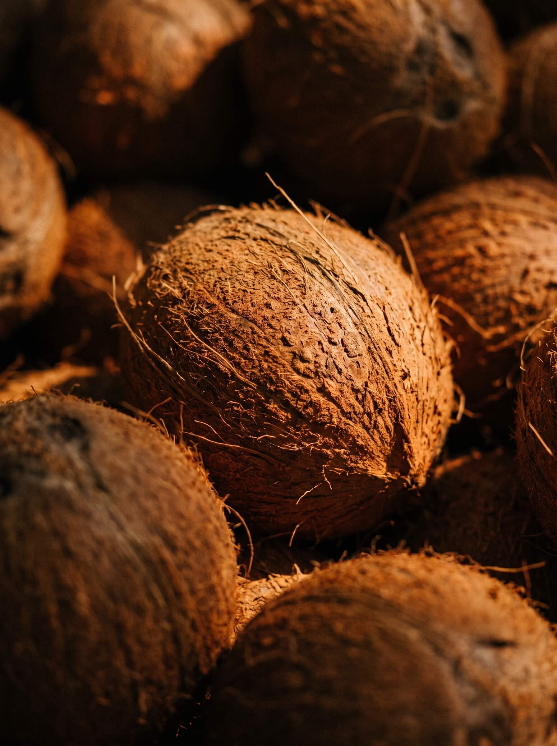 Coconut