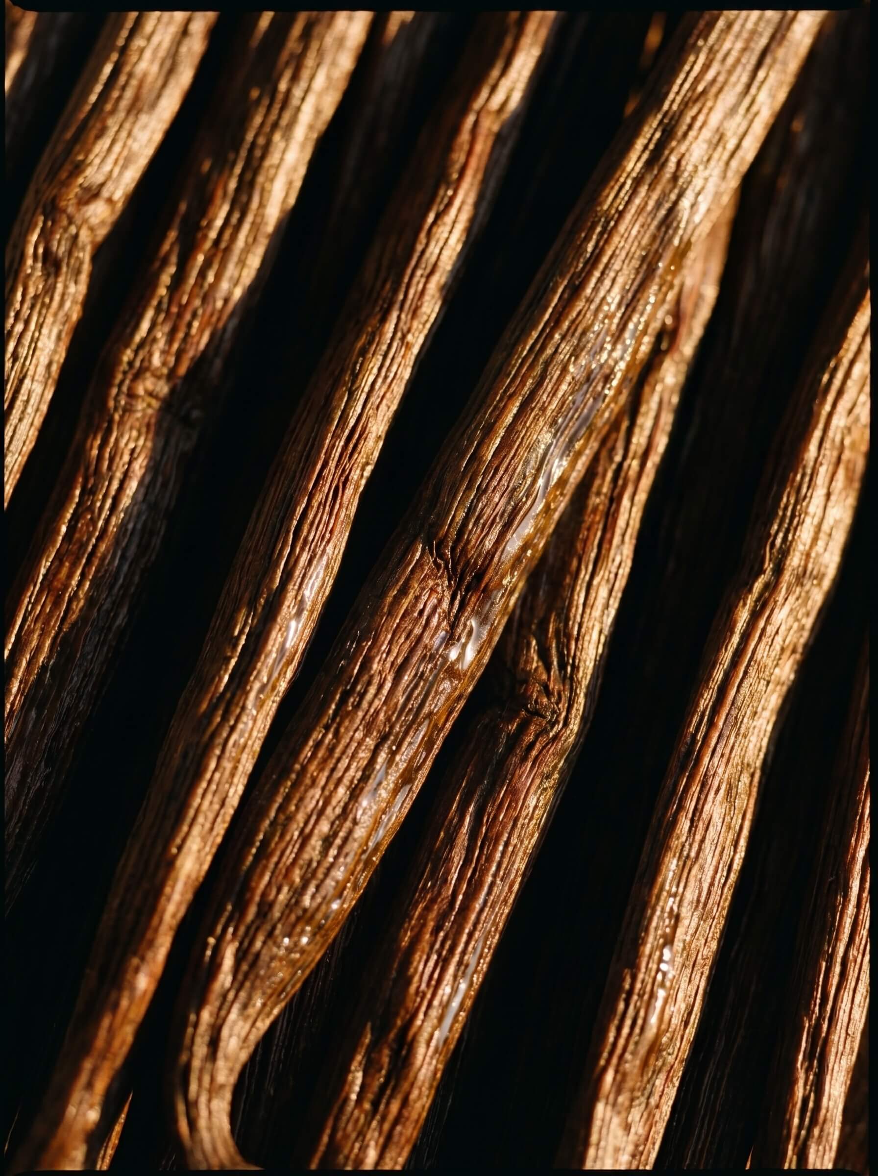 Vanilla